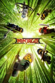 The LEGO Ninjago Movie (2017) dublat în română