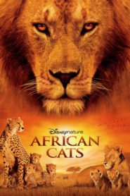 African Cats – Feline africane (2011) online subtitrat