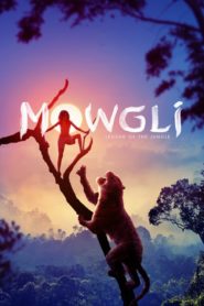 Mowgli: Legenda junglei (2018) online subtitrat