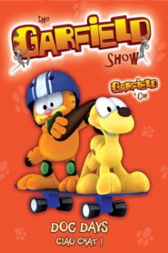 The Garfield Show Seria Dublată în Română
